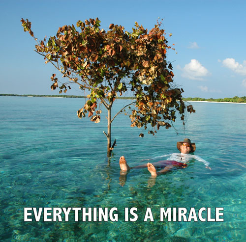 Everything Is A Miracle - Maximum Strength Positive Thinking